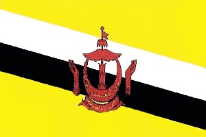 flag of brunei
