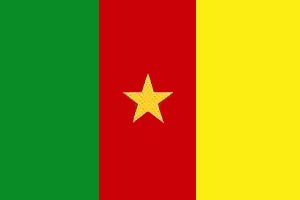 flag of cameroon